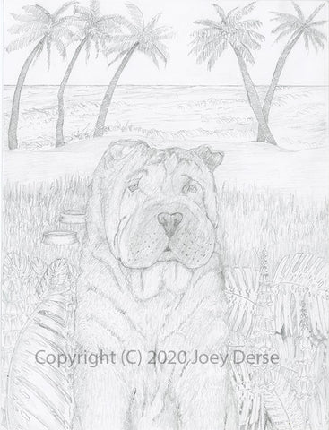 Joey Derse's Shar Pei