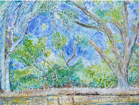 Joey Derse's Lily Pond