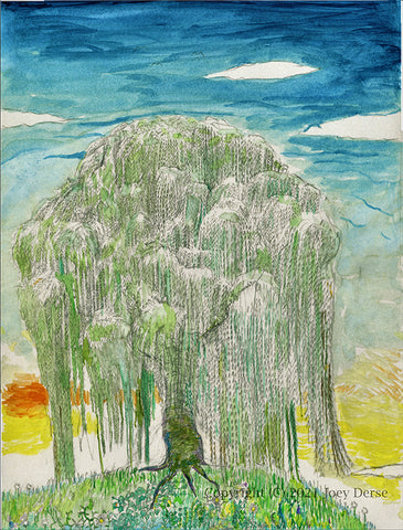 Joey Derse's The Weeping Willow
